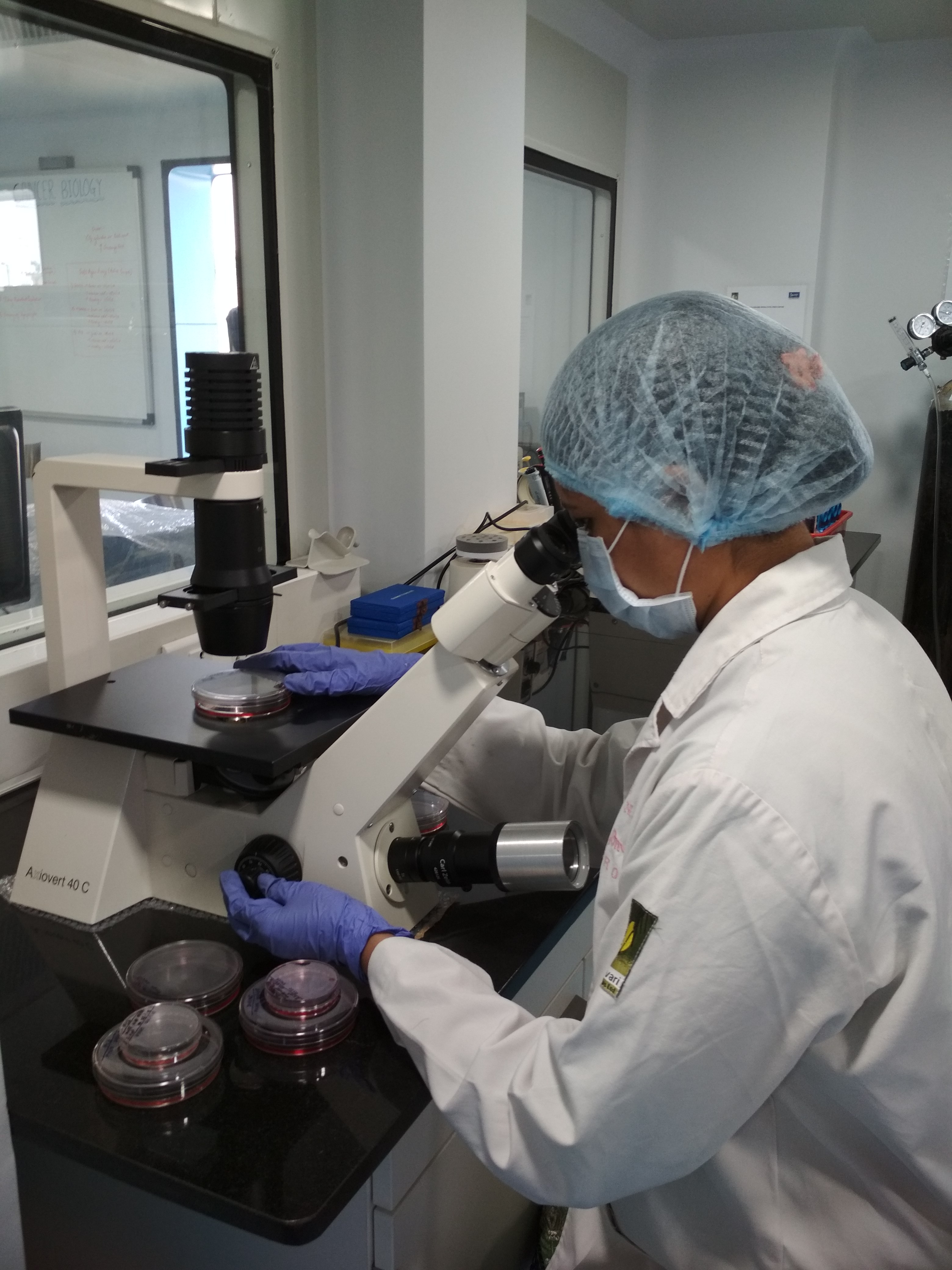 Sathgen Therapeutics Laboratory